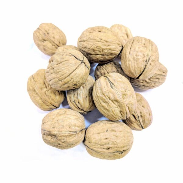 Walnuts Whole